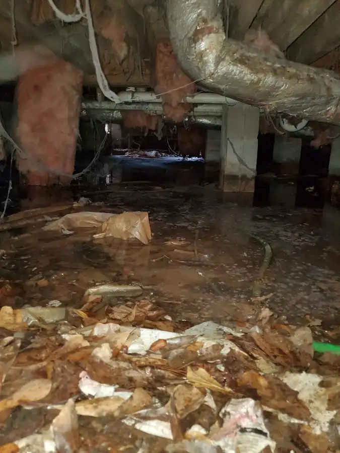 Crawl space flood assessment for Leak Detection & Repair in Sterling